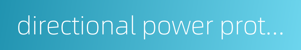 directional power protection的同义词