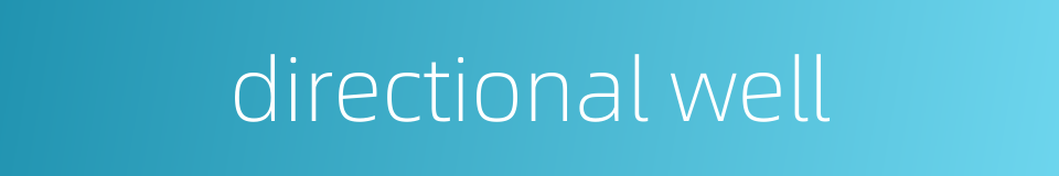 directional well的同义词