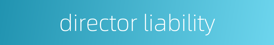 director liability的同义词
