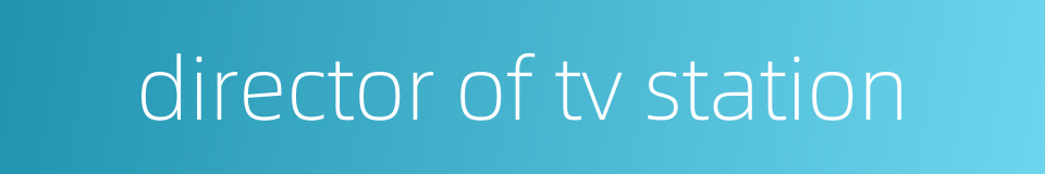 director of tv station的同义词