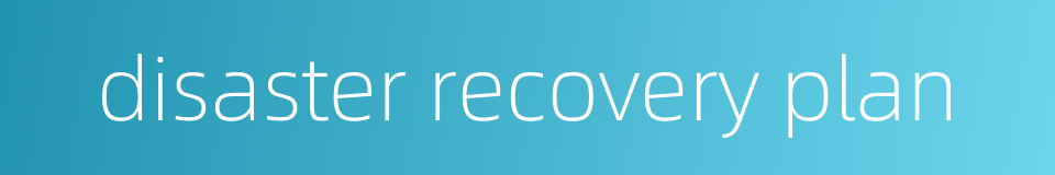 disaster recovery plan的同义词