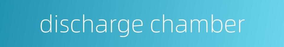 discharge chamber的同义词