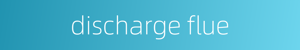 discharge flue的同义词