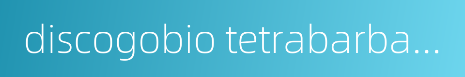 discogobio tetrabarbatus的同义词