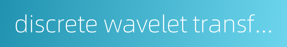 discrete wavelet transform的同义词