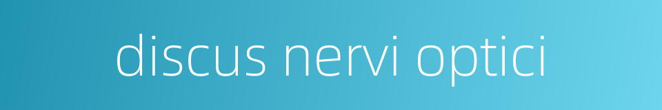 discus nervi optici的同义词