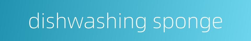 dishwashing sponge的同义词
