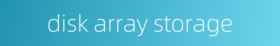 disk array storage的同义词