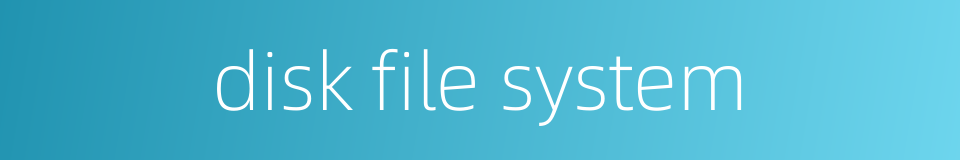 disk file system的同义词
