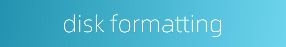 disk formatting的同义词