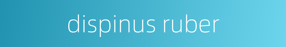 dispinus ruber的同义词