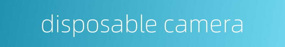 disposable camera的同义词