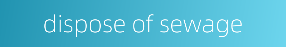 dispose of sewage的同义词