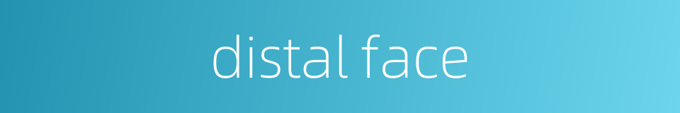 distal face的同义词