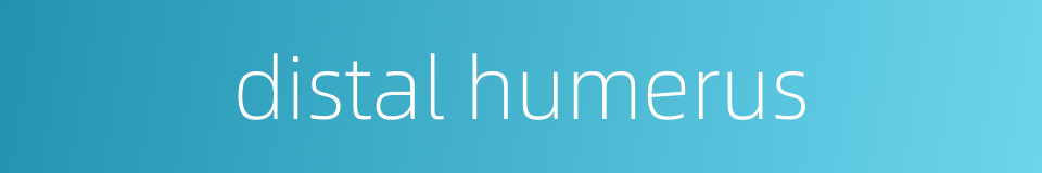 distal humerus的同义词