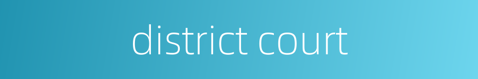 district court的同义词