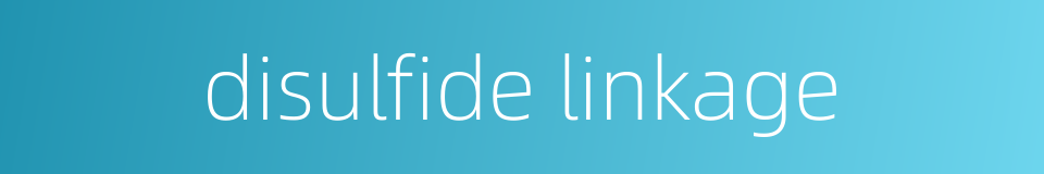 disulfide linkage的同义词