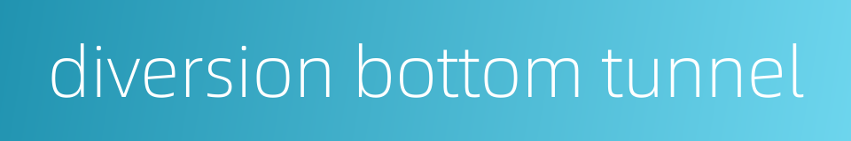 diversion bottom tunnel的同义词