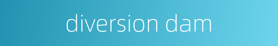 diversion dam的同义词