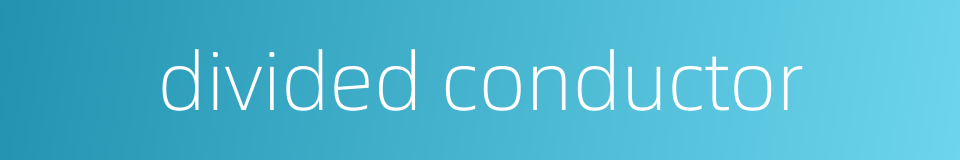 divided conductor的同义词