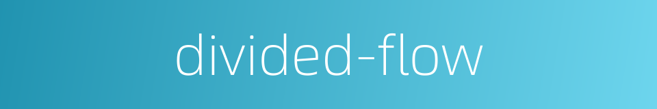 divided-flow的同义词