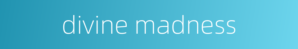divine madness的同义词
