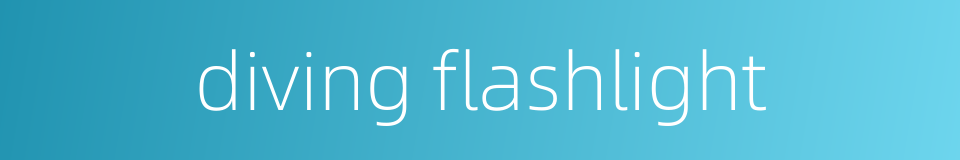 diving flashlight的同义词