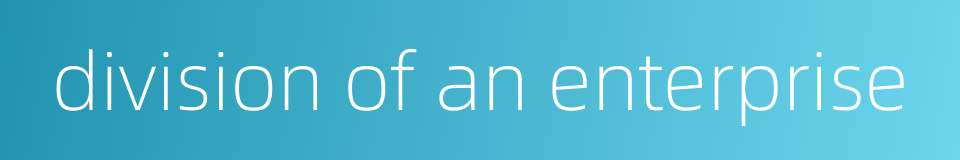 division of an enterprise的同义词