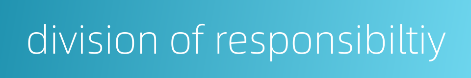 division of responsibiltiy的同义词