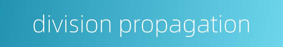 division propagation的同义词