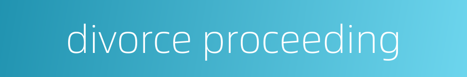 divorce proceeding的同义词
