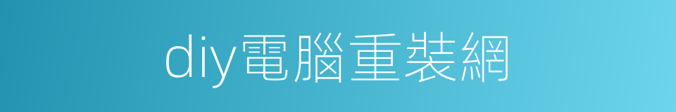 diy電腦重裝網的同義詞
