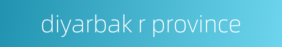 diyarbak r province的同义词