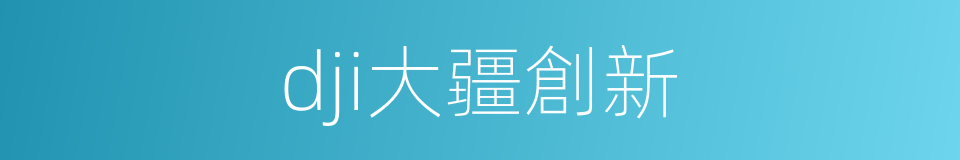 dji大疆創新的同義詞
