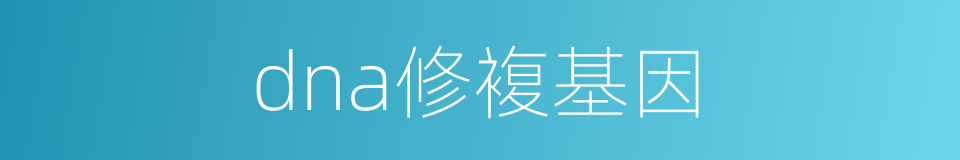 dna修複基因的同义词