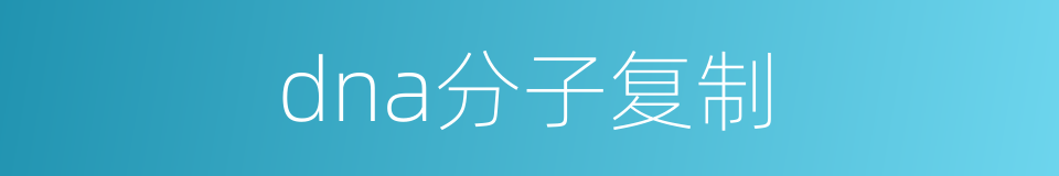 dna分子复制的同义词