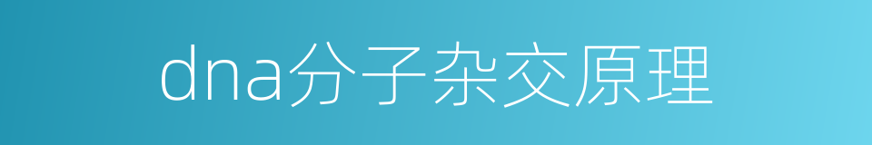 dna分子杂交原理的同义词