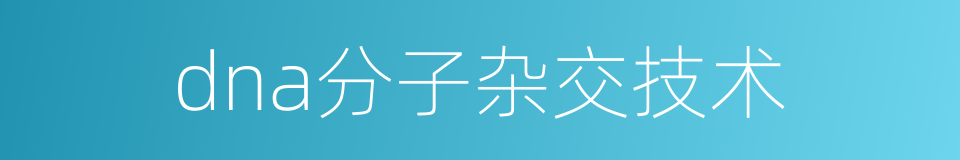 dna分子杂交技术的同义词