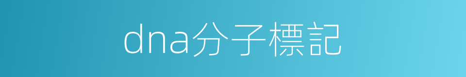 dna分子標記的同義詞