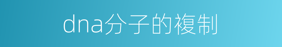 dna分子的複制的同义词