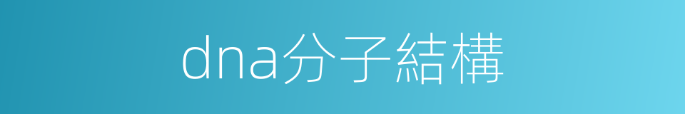 dna分子結構的同義詞