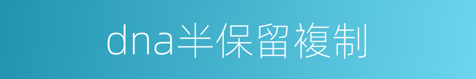 dna半保留複制的同义词