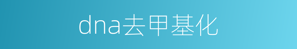 dna去甲基化的同义词