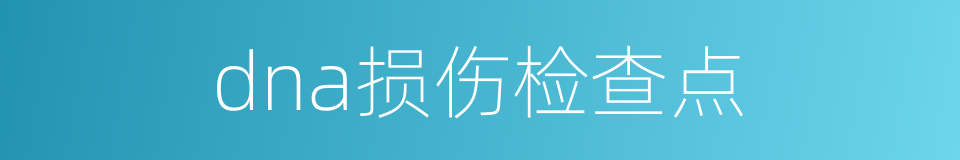 dna损伤检查点的同义词