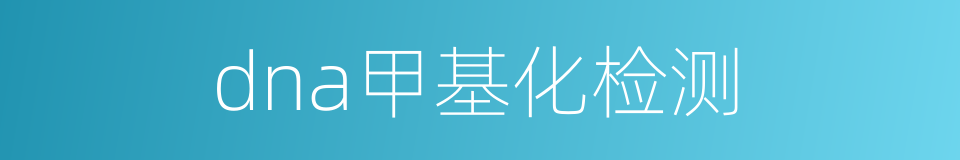 dna甲基化检测的同义词