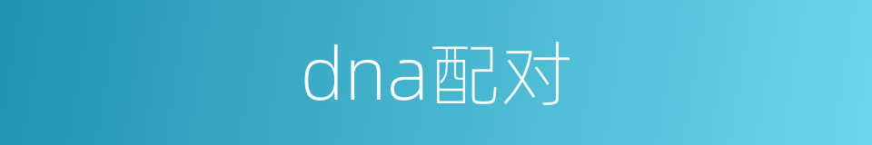 dna配对的同义词
