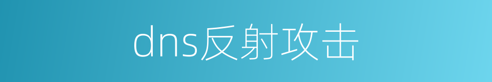 dns反射攻击的同义词