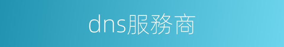 dns服務商的同義詞
