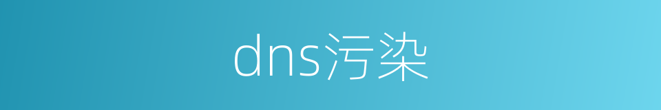 dns污染的同义词