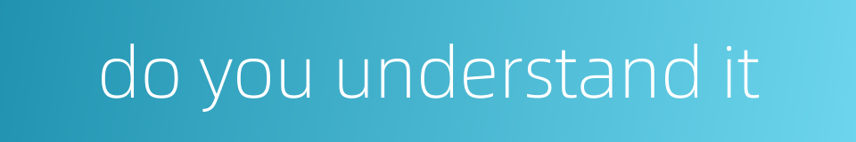 do you understand it的同义词